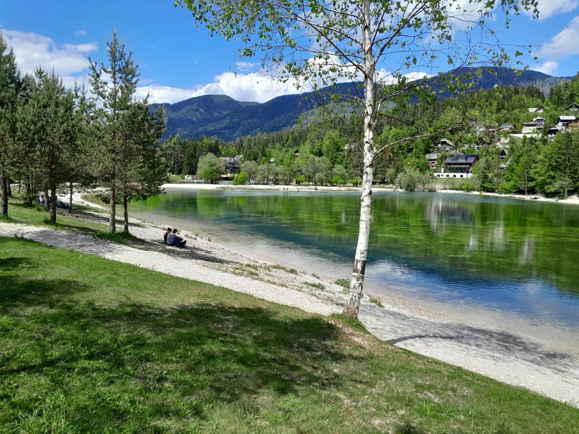 Les Chalet Kranjska Gora I 외부 사진